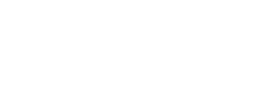 TALU Space Logo